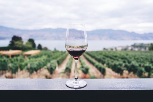 Czy wino jest zdrowe
