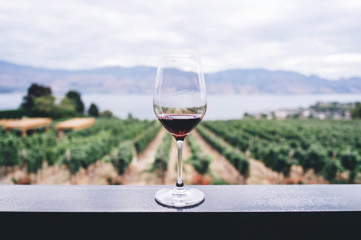 Czy wino jest zdrowe